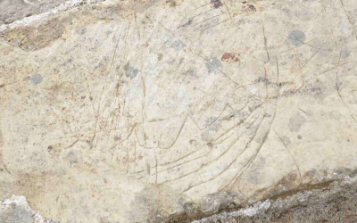 🎬➡️🏰 Quand un ancien cinéma révèle un rempart médiéval… à Caen !